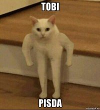 tobi pisda