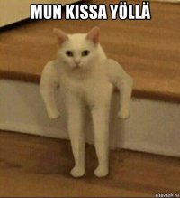 mun kissa yöllä 