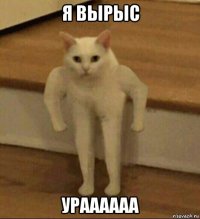 я вырыс ураааааа