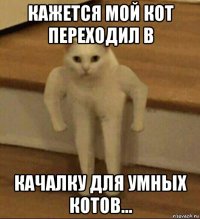 кажется мой кот переходил в качалку для умных котов...