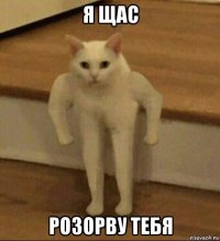 я щас розорву тебя