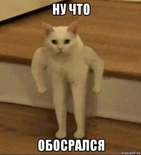 ну что обосрался