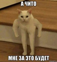 а чито мне за это будет