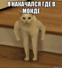 я накачался где в монде 