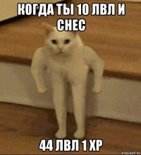 когда ты 10 лвл и снес 44 лвл 1 xp