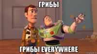 грибы грибы everywhere