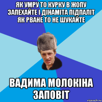 як умру то курку в жопу запехайте і дінаміта підпаліт як рване то не шукайте вадима молокіна заповіт