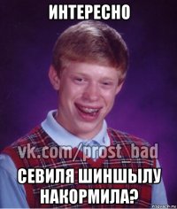 интересно севиля шиншылу накормила?