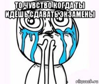 то чувство когда ты идёшь сдавать экзамены 