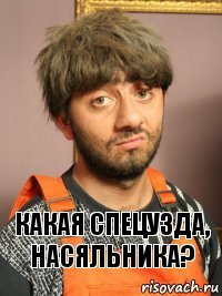 Какая спецузда, Насяльника?