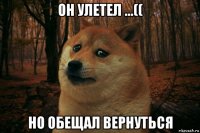 он улетел ...(( но обещал вернуться