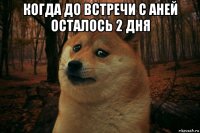 когда до встречи с аней осталось 2 дня 