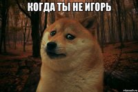 когда ты не игорь 