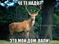 че те надо? это мой дом, вали!