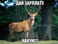 -дай зарплату -какую?