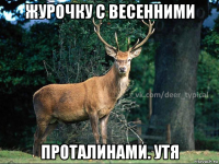 журочку с весенними проталинами. утя