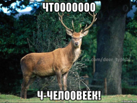 чтооооооо ч-челоовеек!