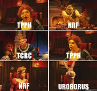 TPPH NRF TCRC TPPH NRF UROBORUS