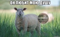 он любит мою душу 