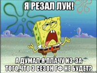 я резал лук! а думал я плачу из-за того,что 3 сезон гф не будет?