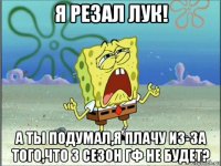 я резал лук! а ты подумал,я плачу из-за того,что 3 сезон гф не будет?