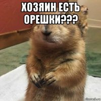 хозяин есть орешки??? 