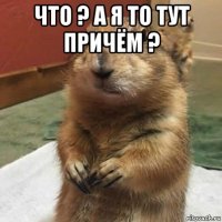 что ? а я то тут причём ? 