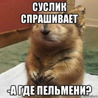 суслик спрашивает -а где пельмени?