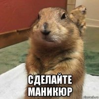  сделайте маникюр