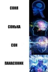 Соня Сонька Сон Панасоник