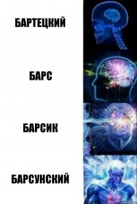 Бартецкий Барс Барсик Барсунский