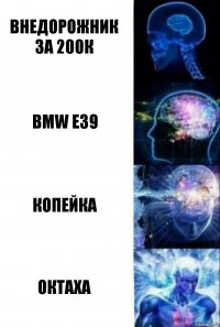 Внедорожник за 200к Bmw e39 Копейка октаха