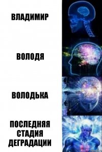 Владимир Володя Володька Последняя стадия деградации