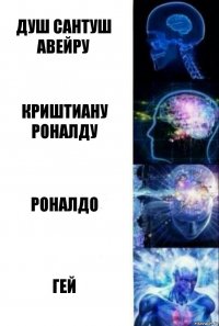 Душ Сантуш Авейру Криштиану Роналду Роналдо Гей