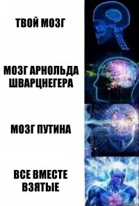 Твой мозг Мозг Арнольда Шварцнегера Мозг Путина Все вместе взятые