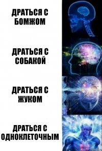 Драться с бомжом Драться с собакой Драться с жуком Драться с одноклеточным