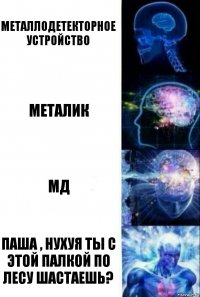 Металлодетекторное устройство металик мд паша , нухуя ты с этой палкой по лесу шастаешь?