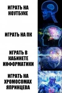 играть на ноутбуке играть на пк играть в кабинете информатики играть на хромосомах япринцева