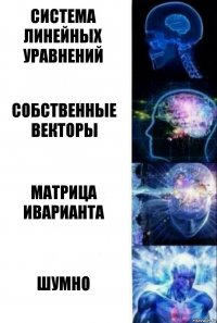 Система линейных уравнений Собственные векторы Матрица иварианта Шумно