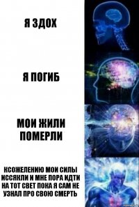 Я здох Я погиб Мои жили померли Ксожелению мои силы иссякли и мне пора идти на тот свет пока я сам не узнал про свою смерть