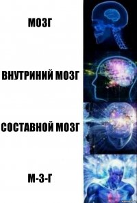 мозг внутриний мозг составной мозг м-з-г