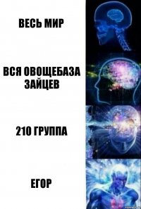 Весь мир Вся овощебаза зайцев 210 группа Егор