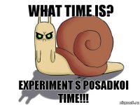 What time is? Experiment s posadkoi time!!!