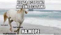 когда встретил магомедсалама на море