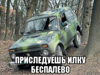  приследуешь илку беспалево