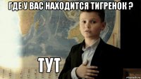 где у вас находится тигренок ? 