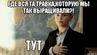 где вся та травка,которую мы так выращивали?! 