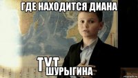 где находится диана шурыгина