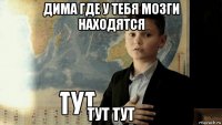 дима где у тебя мозги находятся тут тут