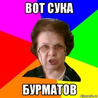 вот сука бурматов